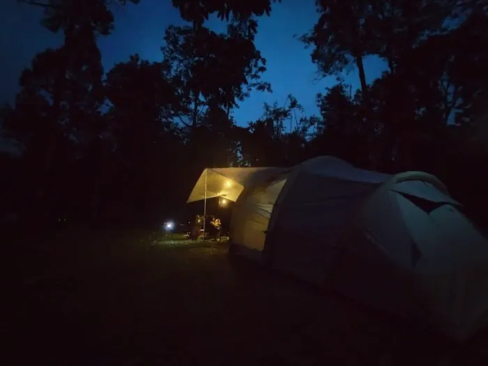 Masha And The Bear Campsite Picture 1