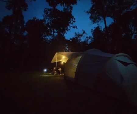 Masha And The Bear Campsite