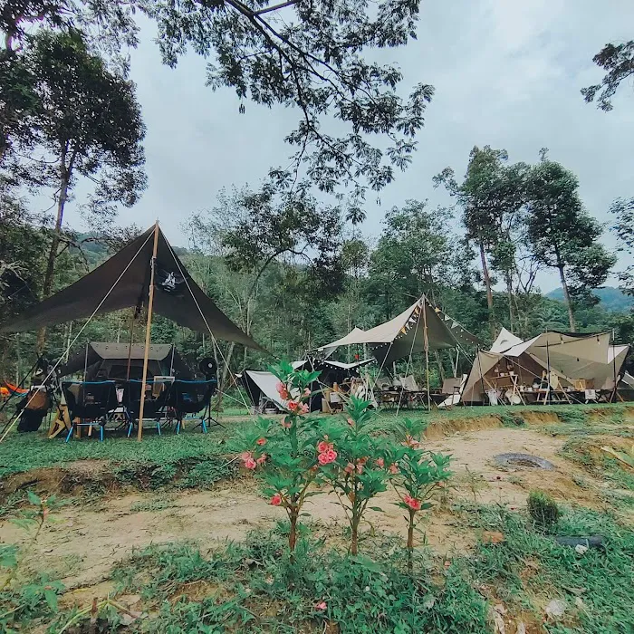 Masha And The Bear Campsite Picture 2