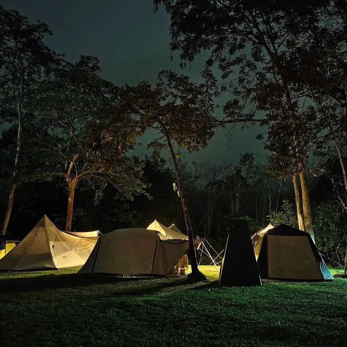 Masha And The Bear Campsite Picture 6