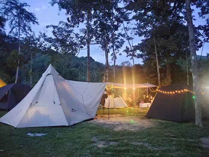 Masha And The Bear Campsite Picture 8