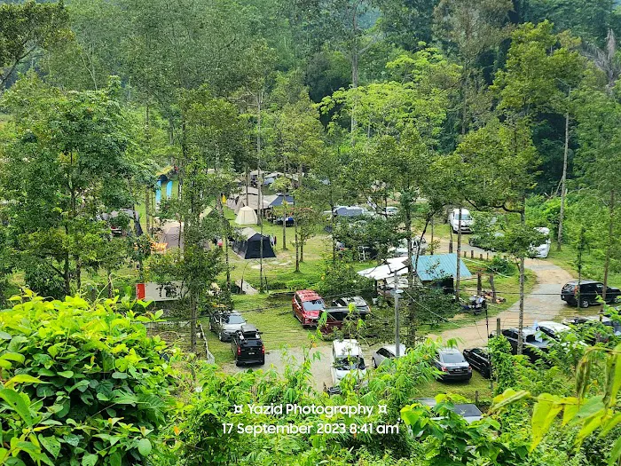 Masha And The Bear Campsite Picture 4