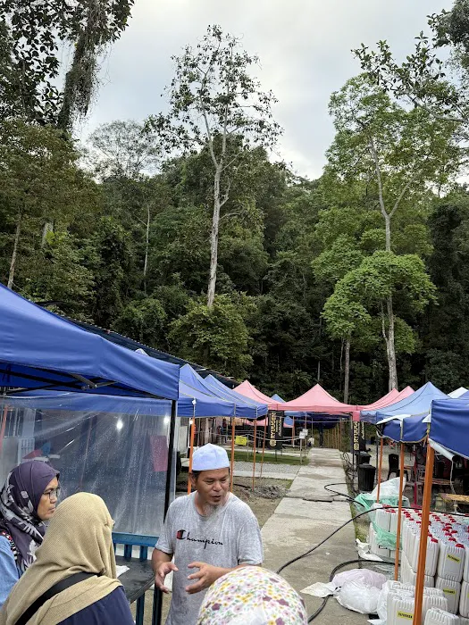 Dusun Pinang Campsite Picture 6