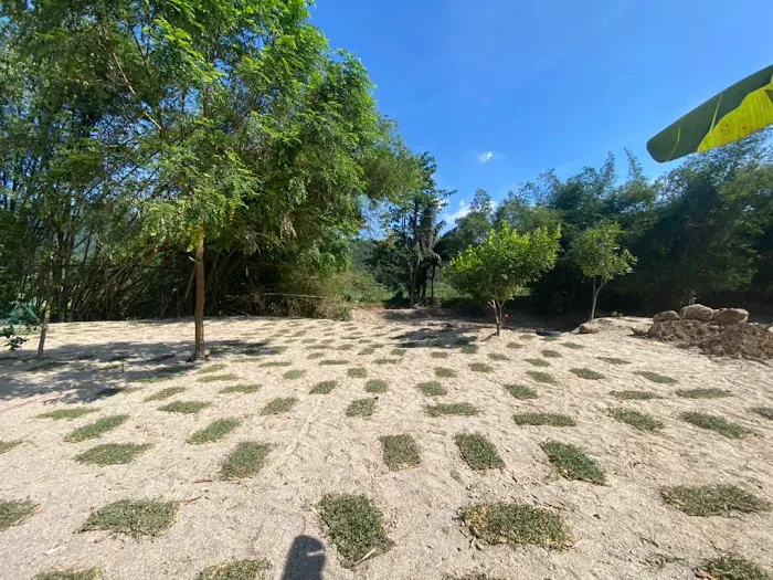 Kelapo Escape Picture 1