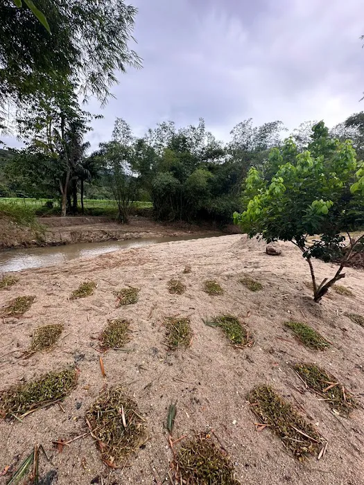 Kelapo Escape Picture 4