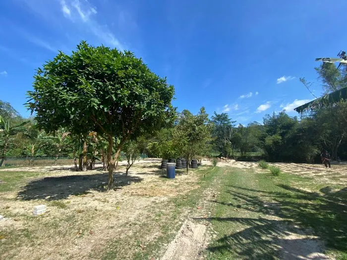 Kelapo Escape Picture 6