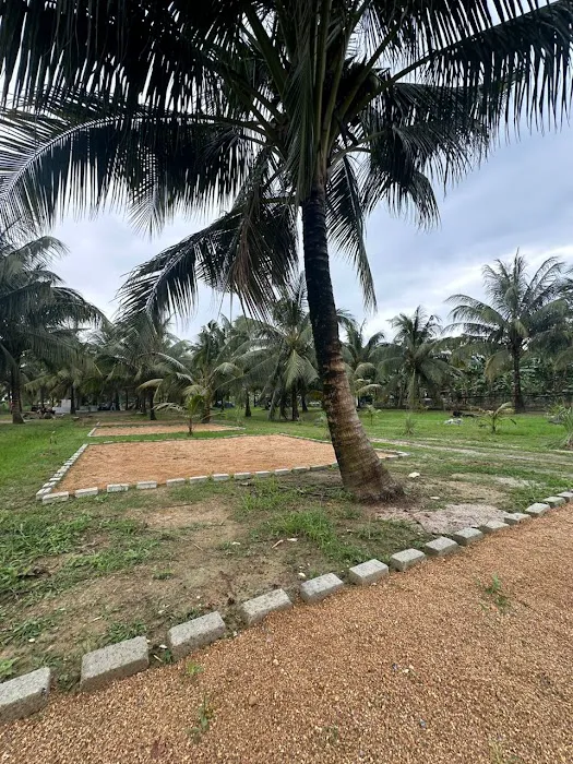 Kelapo Escape Picture 8