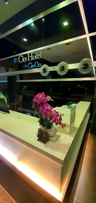 Luxe City Co-Living Hotel Picture 7