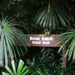 FRIM 2nd Entrance Garden of Eve, Taman Ehsan