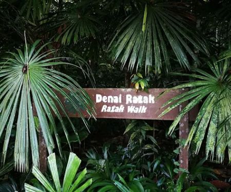 FRIM 2nd Entrance Garden of Eve, Taman Ehsan