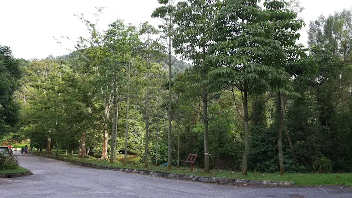 FRIM 2nd Entrance Garden of Eve, Taman Ehsan Picture 6