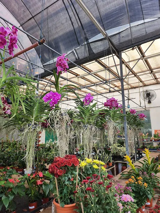 Floristika.com.my Wholesale Florist Malaysia Picture 1