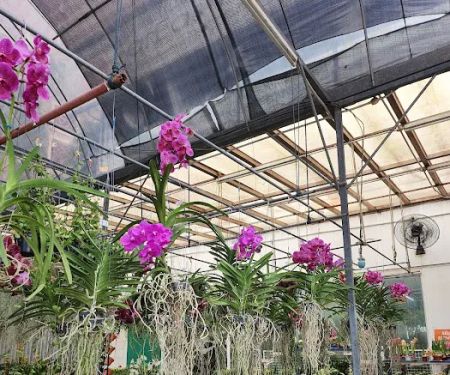 Floristika.com.my Wholesale Florist Malaysia