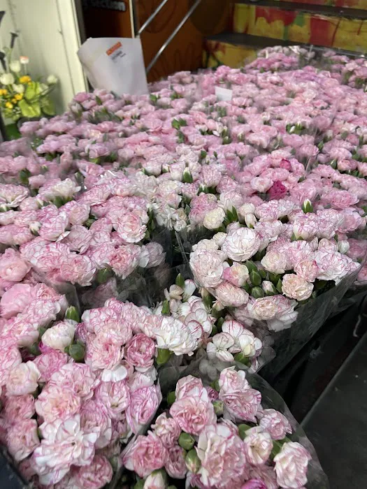 Floristika.com.my Wholesale Florist Malaysia Picture 5