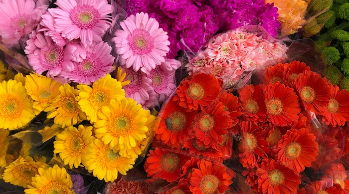 Floristika.com.my Wholesale Florist Malaysia Picture 7