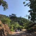 Melipoly Bee Farm Bentong & Raub