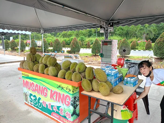 Dataran Musang King 猫山王榴莲广场 Picture 4
