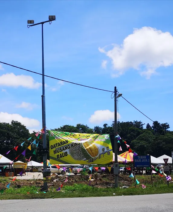 Dataran Musang King 猫山王榴莲广场 Picture 7