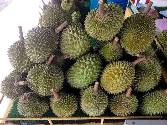 Dataran Musang King 猫山王榴莲广场 Picture 2