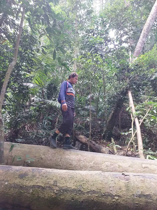 Bukit Lapo Picture 6