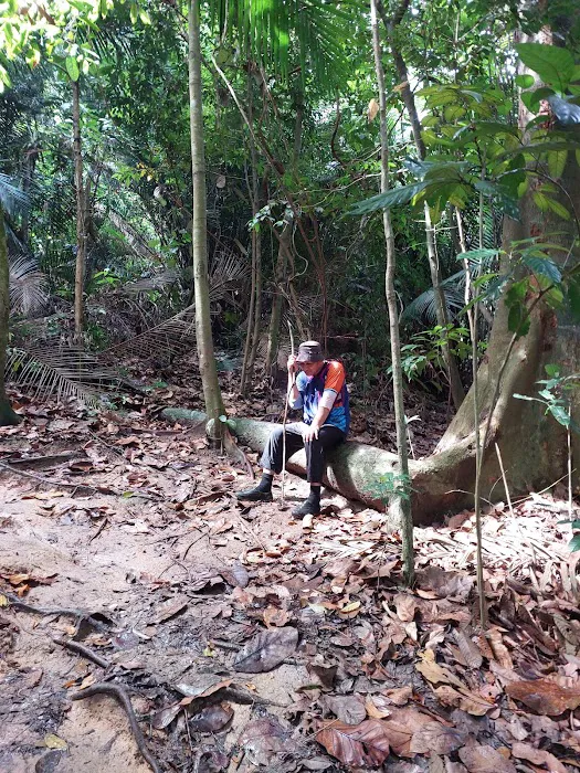 Bukit Lapo Picture 5