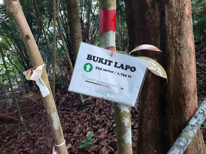 Bukit Lapo Picture 2