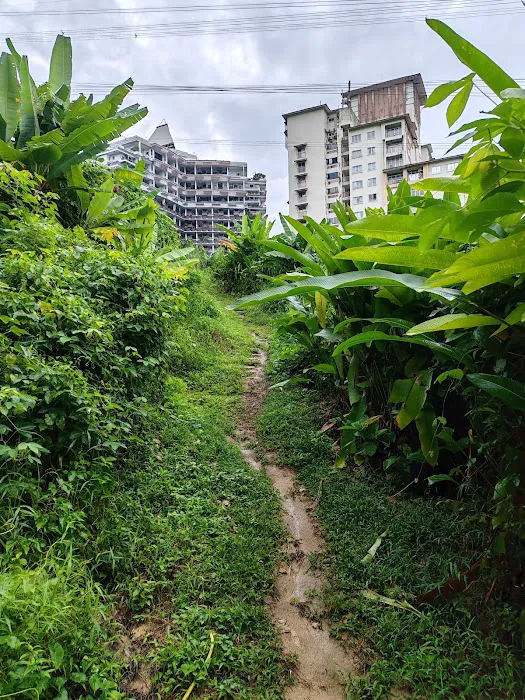 Bukit Lanjan West Hill Picture 7
