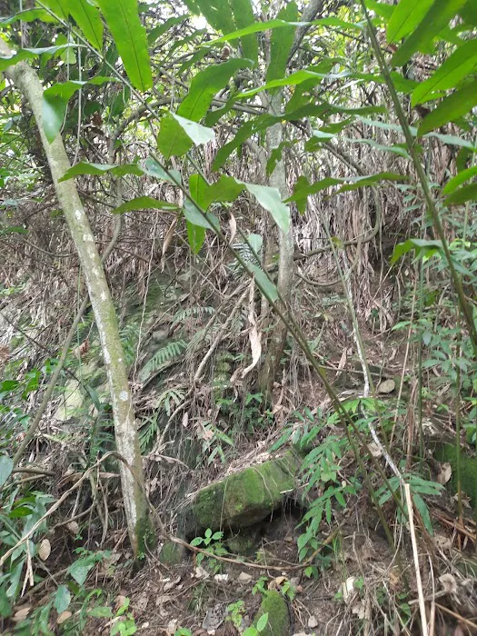 Bukit Lanjan West Hill Picture 10