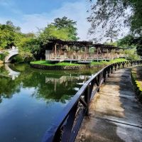 Bamboo Playhouse ico