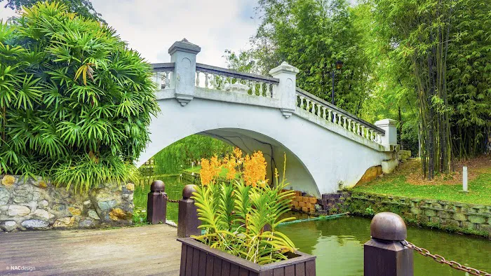 Bamboo Playhouse Picture 6