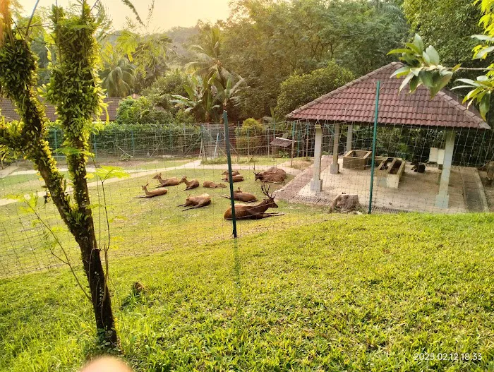 Taman Botani Perdana Water Fountain Picture 5