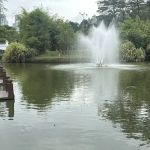 Taman Botani Perdana Water Fountain