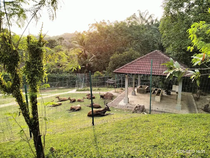 Taman Botani Perdana Water Fountain Picture 7