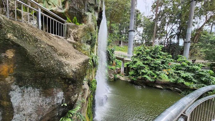 Waterfall Aviary - Zone 4 Picture 1