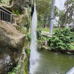 Waterfall Aviary - Zone 4