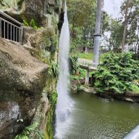 Waterfall Aviary - Zone 4 ico