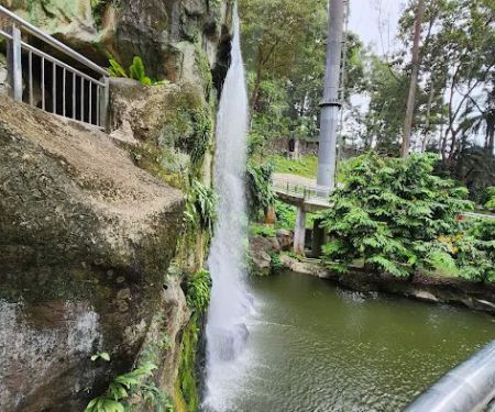 Waterfall Aviary - Zone 4