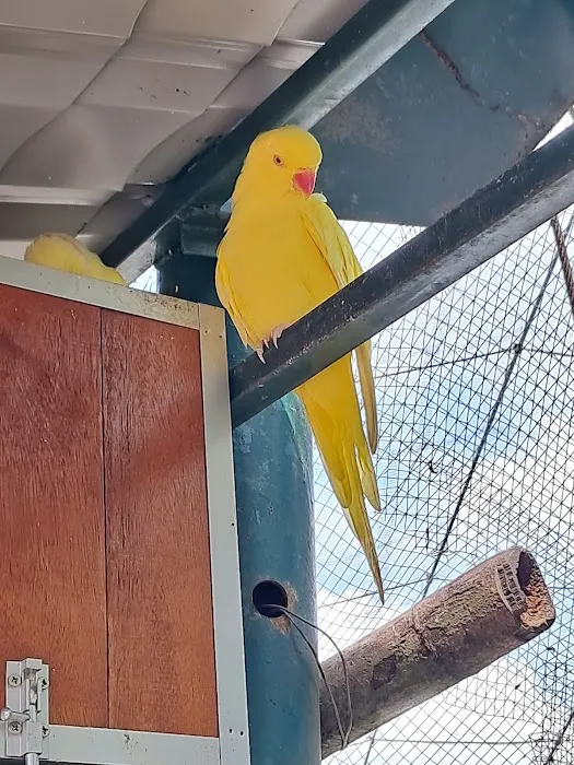 KL Bird Park Entrance Picture 3