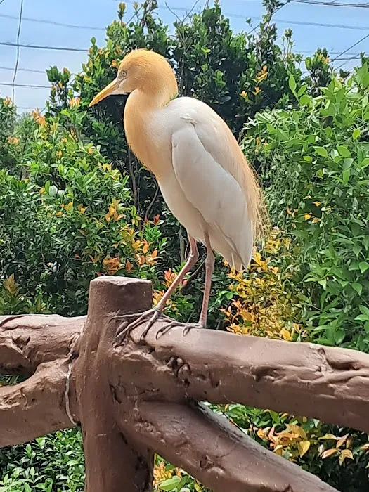 KL Bird Park Entrance Picture 5
