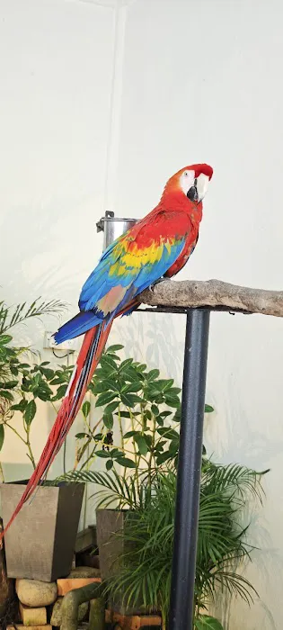 KL Bird Park Entrance Picture 1