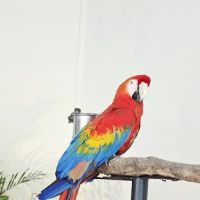 KL Bird Park Entrance ico