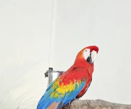 KL Bird Park Entrance