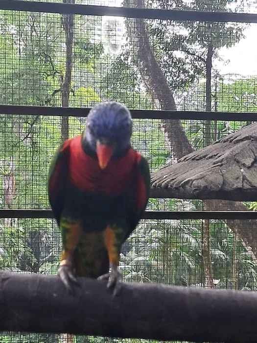 KL Bird Park Entrance Picture 9