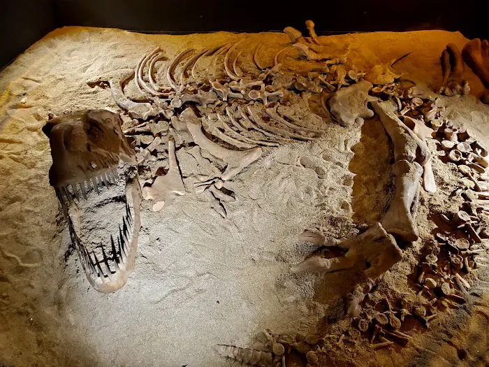 Dinosaur Encounter Pusat Sains Negara Picture 1