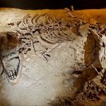 Dinosaur Encounter Pusat Sains Negara