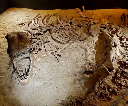 Dinosaur Encounter Pusat Sains Negara