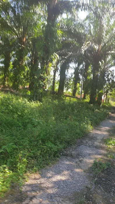 LORONG DOKONG JAMBATAN Picture 5