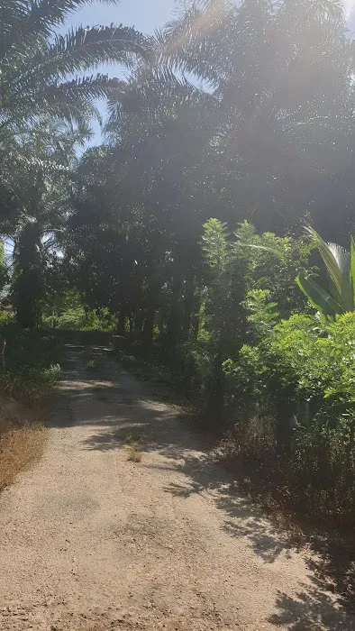 LORONG DOKONG JAMBATAN Picture 4