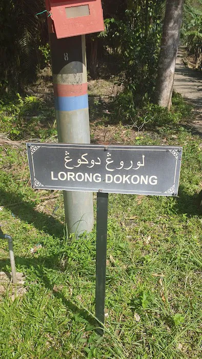 LORONG DOKONG JAMBATAN Picture 6