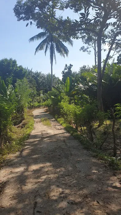 LORONG DOKONG JAMBATAN Picture 7